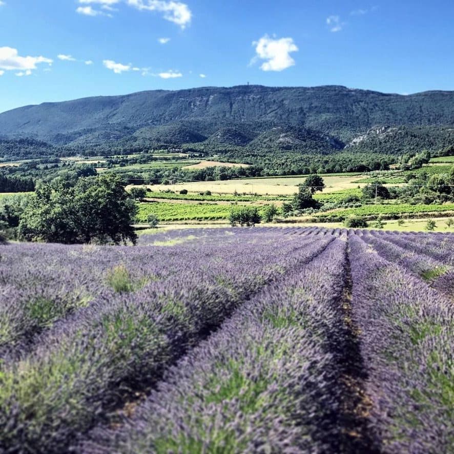 Les marchés de Provence